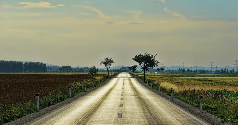 La route des vins en Bourgogne : un voyage sensoriel à ne pas manquer