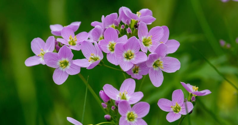 Secrets de Thaïlande : les plus belles plages cachées à découvrir absolument